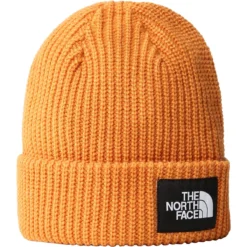 THE NORTH FACE SALTY DOG BEANIE TOPAZ 23