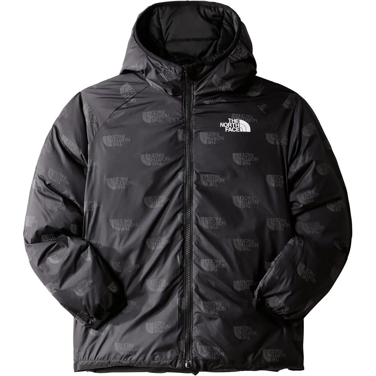 THE NORTH FACE B PRNT NORTH DW JKT BLACK 23 4 THE NORTH FACE B PRNT NORTH DW JKT BLACK 23 – Image 2