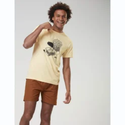 PICTURE CC BAMAGA TEE WOOD ASH 23 -Rossignol Soldes Magasin 9 123723 mts1059 a 05